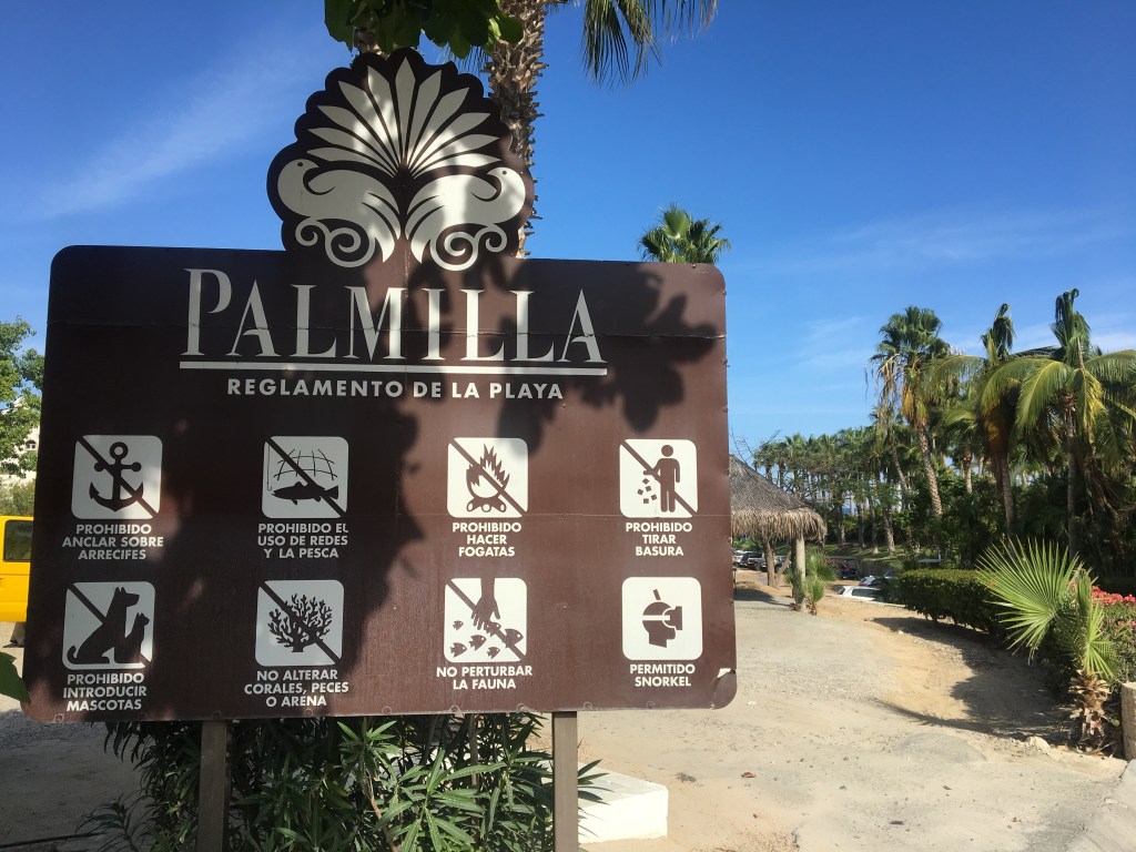 Plaża La Palmilla w San Jose del Cabo.
